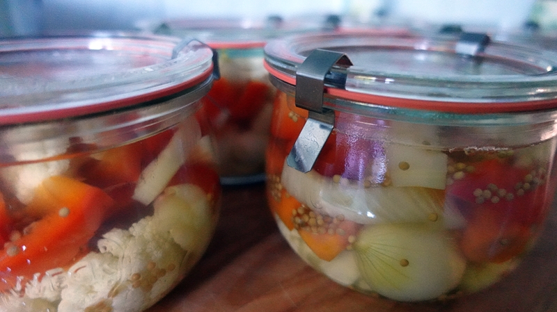 Fertig eingekochte Glaeser mit Mixed Pickles