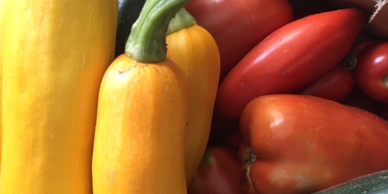 Gemüse Zucchini und Tomaten 