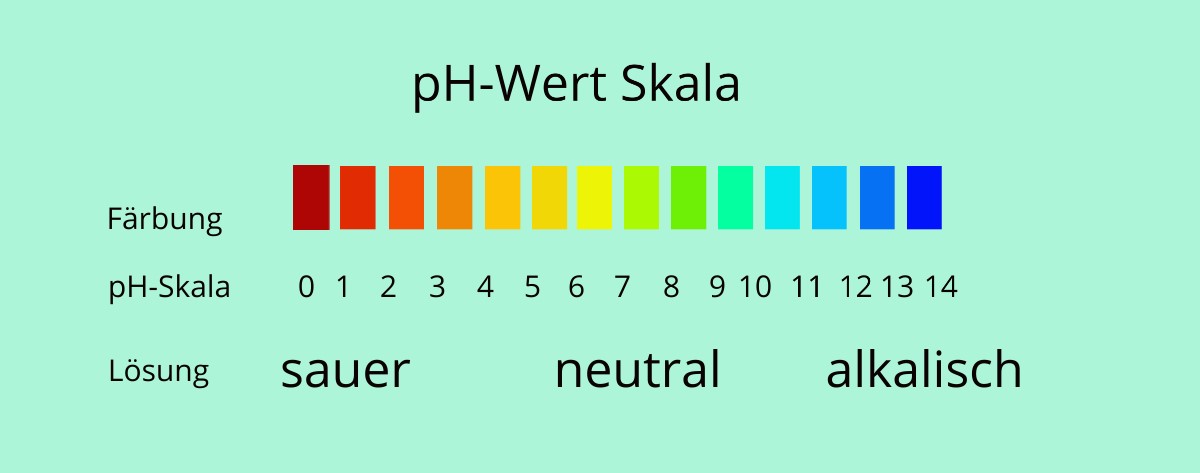pH-Wert Skala die beim Einmachen eine grosse Rolle spielt