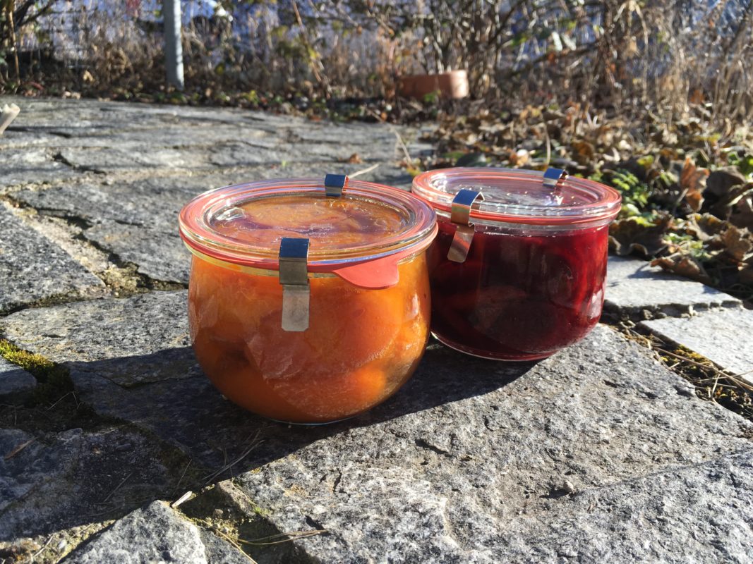 Zwei Einmachglaeser mit Aprikosen und Zwetschgenkompott gefüllt