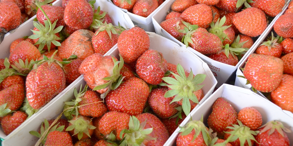 Kistchen mit Erdbeeren